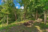 29270 Doyle Trail - Photo 9