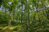 1089 8th Street - Photo 78