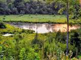 N1335 Pine Grove Road - Photo 48