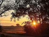 9591 260th Street - Photo 7
