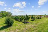 22901 Oakdale Drive - Photo 35