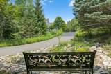 9570 Norway Hills Trail - Photo 47