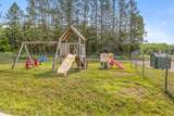 13004 Balsam Fir Road - Photo 15