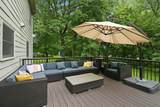 14901 Williston Lane - Photo 49