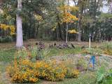 6921 Bluff Lane - Photo 84