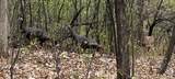 6921 Bluff Lane - Photo 95
