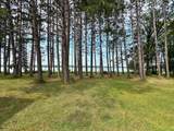 30348 422nd Lane - Photo 42