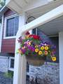 3111 Joyce Court - Photo 27