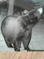 49924 County 27 - Photo 32