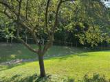 1063 Meadow Street - Photo 43