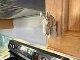 707 5th Street - Photo 24