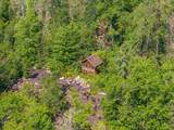 953 Kelly Trail - Photo 46