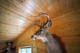 6991 Crane Lake Road - Photo 12
