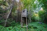 6991 Crane Lake Road - Photo 21