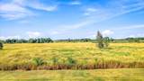 11117 State Highway 70 - Photo 20