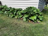 8020 80th Street - Photo 41