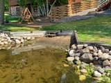 15809 Pine Shores Road - Photo 21