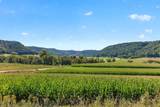 18599 Horse Shoe Road - Photo 13