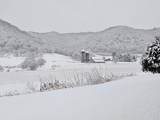18599 Horse Shoe Road - Photo 37