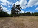 13911 Fairbanks Road - Photo 28