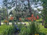 1839 3rd Street - Photo 3