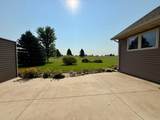 39202 Wild Rose Court - Photo 8