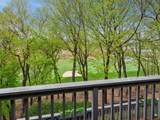 11202 Mount Curve Road - Photo 51