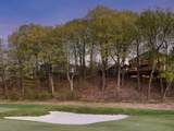 11202 Mount Curve Road - Photo 53