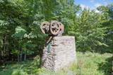 3452 Mayowood Road - Photo 92