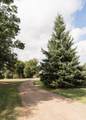 15777 Harness Road - Photo 5
