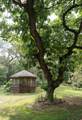 15777 Harness Road - Photo 79