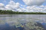 42937 Minnie Lake Drive - Photo 43