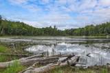 42937 Minnie Lake Drive - Photo 44