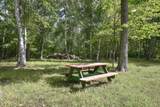42937 Minnie Lake Drive - Photo 45