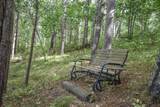 42937 Minnie Lake Drive - Photo 50