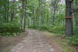 42937 Minnie Lake Drive - Photo 51