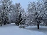 9755 Julep Trail - Photo 48
