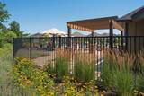 3065 Wild Flower Trail - Photo 52