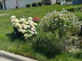 1013 Rushmore Drive - Photo 40