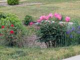1013 Rushmore Drive - Photo 41