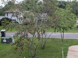 1013 Rushmore Drive - Photo 42