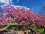 297 Majestic Road - Photo 44