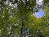 24771 Swede Road - Photo 47