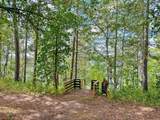 25371 Hirsch Drive - Photo 4
