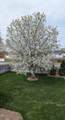 7224 96th Street - Photo 62