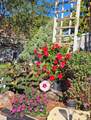 18413 60th Street - Photo 49