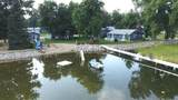 35852 Rush Lake Loop - Photo 2