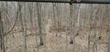 38953 Ada Beach Road - Photo 40