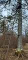 38953 Ada Beach Road - Photo 41