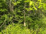38953 Ada Beach Road - Photo 70